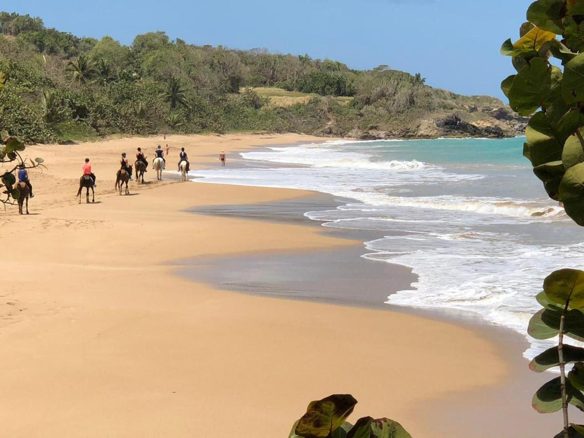 Jolie Petite Villa Sur Une Presqu'Ile Le Gosier  Esterno foto