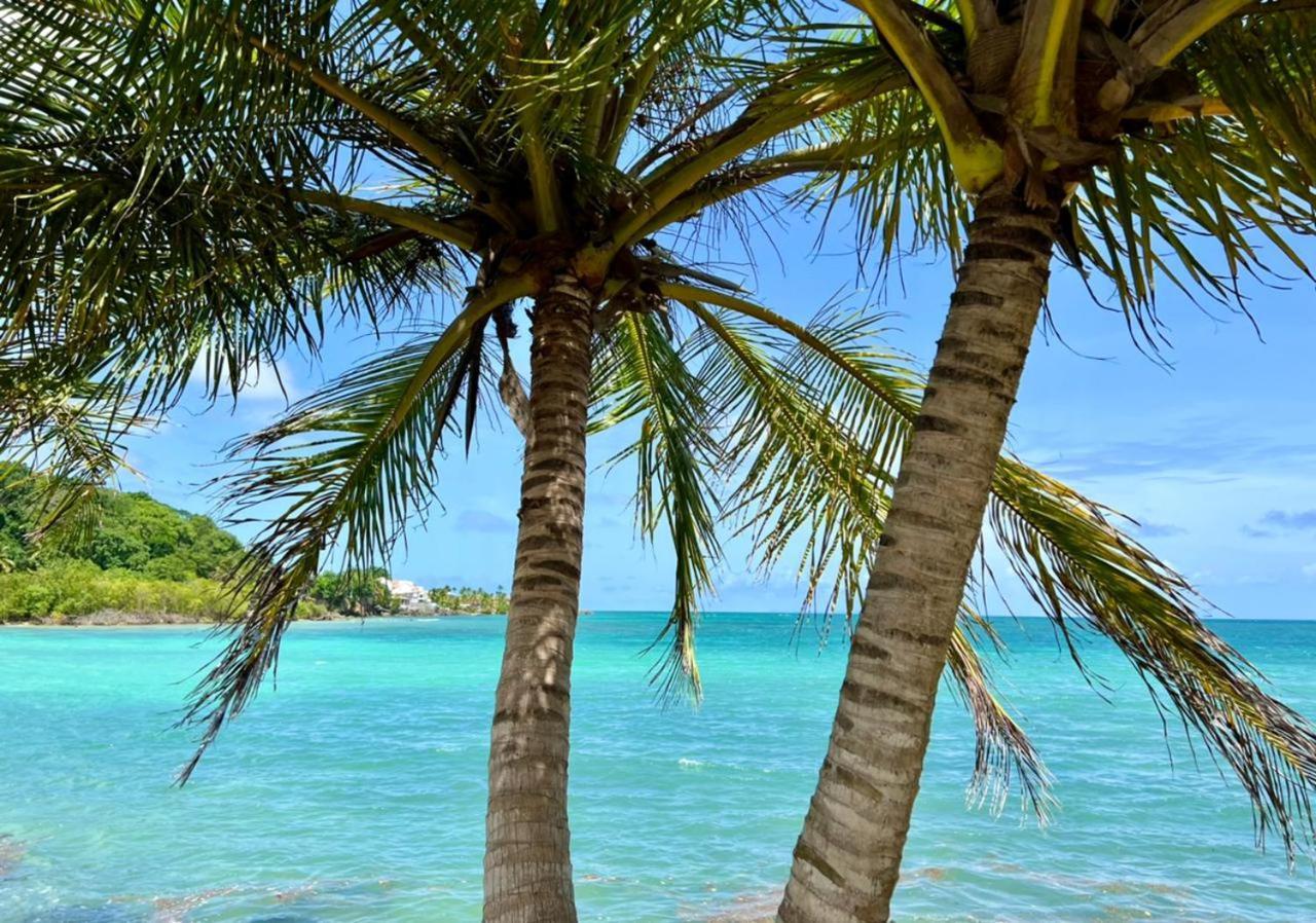 Jolie Petite Villa Sur Une Presqu'Ile Le Gosier  Esterno foto