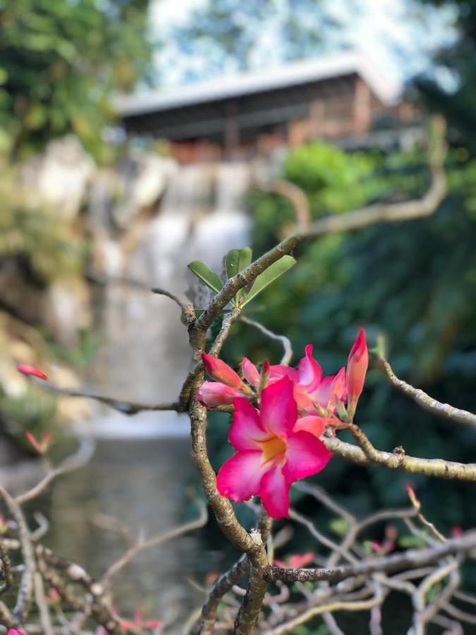 Jolie Petite Villa Sur Une Presqu'Ile Le Gosier  Esterno foto